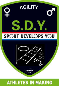 Sport Develops You Agility